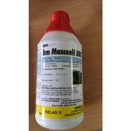 BM Masconil 5SC ( Anai -Anai )