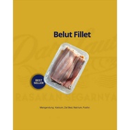 Rice field eel fillet WEIGHT -+500GRAM