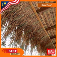 Atap Nipah Grade A Reed Roof Thatch Roof Quality Multipurpose Universal Grass Skirting Roof