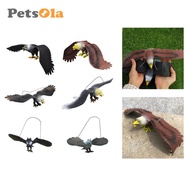 [PETSOLA] Simulated Eagle Model Eagle Statue Durable Realistic Texture Animal Statue Scene Prop Anim