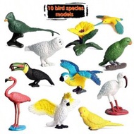 10pcs/Set Realistic Plastic Solid Wild Bird Animal Toys, Including Green Parrot, Macaw, Parakeet, Co