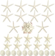 Queekay 30 Pieces Resin Starfish Sand Dollars 2.0 Inch Starfish 4.7 Inch Starfish 2.3 Inch Sand Doll