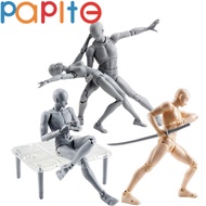 PAPITE【Ready Stock】Body Chan & Kun DX Setตุ๊กตาขยับแขนขาได้ชายหญิงสำหรับSHFสำหรับศิลปินวาดภาพความคิด