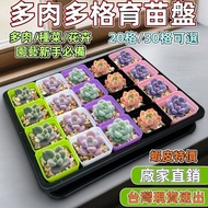 Taiwan Shipment🪴Manufacturer Wholesale🔥🔥30 Hole Seedling Pot 20 Hole Seedling Pot Succulent Seedling