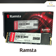 250GB 500GB 1TB M.2 / M.2 NVME Ramsta SSD | Reliable Solid State Drive for Laptop and Desktop PC | E