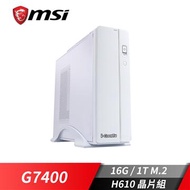 微星平台[春風如雪]雙核效能SSD電腦(G7400/16G/1TB_M2) 春風如雪 春風如雪