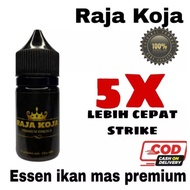 Essen Raja Koja Premium Essen Umpan Ikan Mas Terbaik