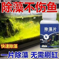 Fish Tank Algae Remover Moss Remover Net Moss Remover Brown Algae Remover Artifact Green Water Green