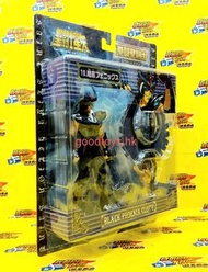 全新未開封 BANDAI 聖鬥士星矢 拳鬥聖鬥士 暗黑初期青銅聖衣 鳳凰座 吸塑