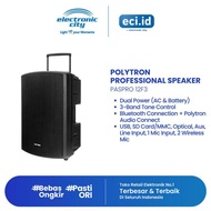 Best Seller Polytron Professional Speaker - Paspro 12F3