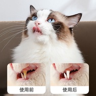 Pet Toothpaste Pen Dog Toothpaste Pet Toothpaste Pet Toothbrush Pen Oral Cleaning Beauty Pen Cross-B