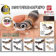 Bandai BANDAI Gashapon Biological Illustrated Book Joint Movable Leopard Print Fat Tail Gecko Lizard