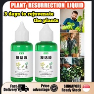 🇸🇬 Seller Quickly Rooting and Revitalizing Green Plant Resurrection Liquid/Universal Plant and Flowe
