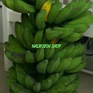 PISANG MENTAH 1KG | PISANG KEPOK | PISANG AMBON | PISANG RAJA | PISANG