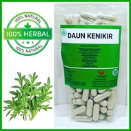 kapsul daun kenikir isi 100