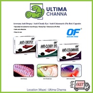 Ocean Free Anti Cloudy Eye/ Anti Dropsy/ Anti Columnaris (10capsules) for Arowana, Channa, Stringray