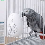HELIX Bird Learning|Recording Timer-Controlled Parrot Teach Talking, Teach Talking Interactive Playb