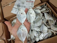 【Ready Stock】Ikan Masin Kotib/Dokdok  Kering Grade AAA 250g/500g/1kg Import Dari Indonesia Ikan Kotib/Dokdok Kering Asin 咸鱼