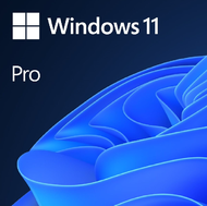 Windows 11 Pro Oem Sticker