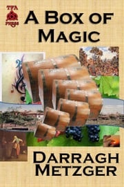 A Box of Magic Darragh Metzger