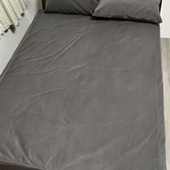 以色列貓抓布(特級布料)象灰