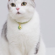 Cute Avocado Dog Cat Collar Cute Dog Cat Collar