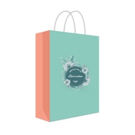 Combo of 5c Paper gift bags T11