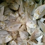 ikan dokdok 500 gram