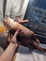 全場最平 預訂🔥 40cm 水瀨 水獺 三合一 陪睡 公仔 電腦 手枕 筆袋 上班族 必備 女朋友 生日 禮物 一流🔥 otter pencil bag toy doll hand cushion f