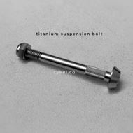 Titanium SUSPENSION BOLT ELASTOMER BOLT!