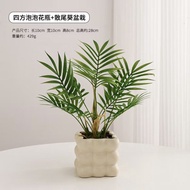 散尾葵盆栽 椰子樹 仿真花 小擺件 桌面 仿真 綠植 辦公室 假花 裝飾 客廳 仿生 北歐仿真植物 仿真小盆栽 人造盆栽 散尾葵發財樹 桌面小盆栽 室内假植物盆栽 假花假植物 室內觀葉植物 袖珍椰子 