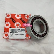 German Fag Bearing 6202 6203 6204 6205 6206 6207 6208 6209-TB-P6-C3