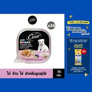 CESAR อาหารเปียกลูกสุนัข แบบถาด รสไก่ ข้าวและไข่ 100 ก. (24 แพ็ก )