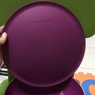 Limited Edition Allegra Bowl Tupperware