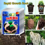 RAPID GROWTH ROOT MEDICINAL HORMONE MODULATOR 1Pack Garden Plant Planting and Growing