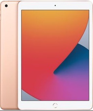 大量回收學校鎖 學校退役機 MDM ipad 8 9 10 代 128GB