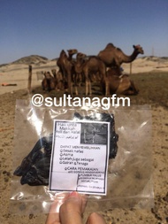 Hati Unta kering Obat Asma