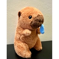 【READY STOCK】Capybara Plush Toy 水豚玩偶 卡皮巴拉玩偶 21cm