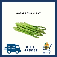Asparagus / 芦笋 - 1 PACK