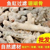 魚缸過濾 培菌濾材 珊瑚骨濾材魚缸珊瑚沙過濾材料珊瑚石純天然魚池底砂造景珊瑚批發