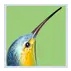 WS PTE AV Studio Pro 11.0.7 - Windows
