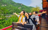 Gangwon-do and Gyeonggi-do Private Car Charter