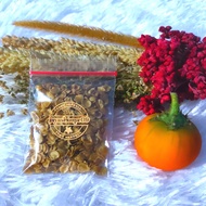 Biji Terong Pari Untuk Sakit gigi Herbal Alami benih biji terong pari terong hutan terong duri