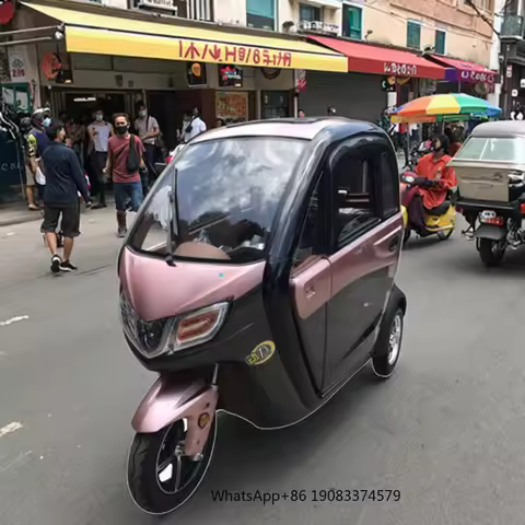 1500W Motor 3- Wheel Cabin Electric Scooter with EEC Certification