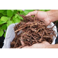 MEKONG COCONUT ROOTS 50DM3 – SECRETS TO SOIL, HEALTHY ROOTS, GREEN TREES