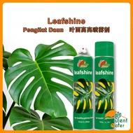 Leaf Shine Floreca Spray Pengilat Daun 600ml 光叶剂