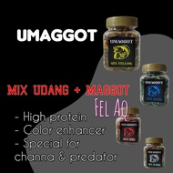 Umaggot 35g Mix Maggot Shrimp Feed Channa Predator Mixed Shrimp Magot Chana Pellet Pellet Channa Color Enhancer Maru Ys El Auranti Barca ElBarca