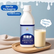 HONGQI | Probiotic Concentrated Yogurt Drink Mix