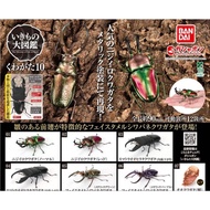 Gashapon Beetle Pliers Bandai Kuwaita Stag Action Vol.10 Animal Model