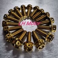✨Skru Gold  /  Skru Titanium ✨Y15ZR Footrest  Hub Aloi Skru